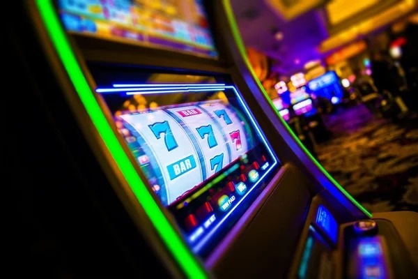 cash77 What Makes Bingo Stand Out